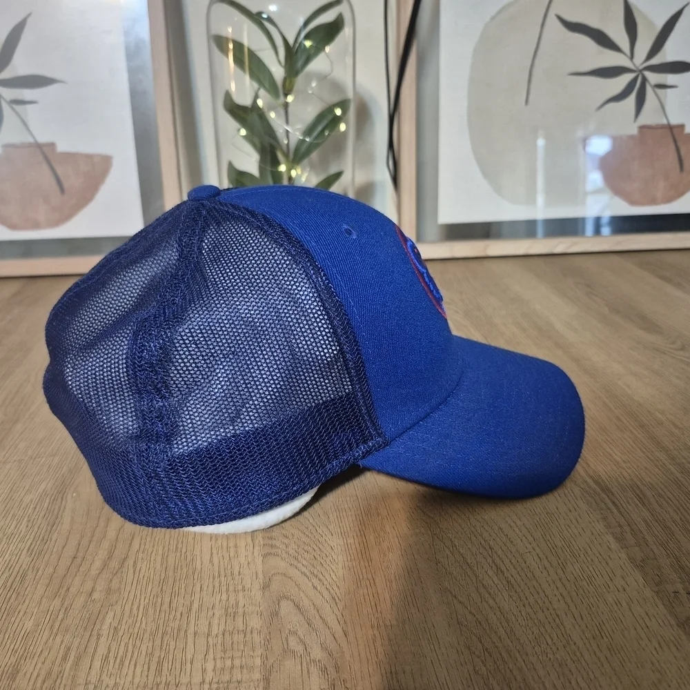 Blue Mens Cubs Cap